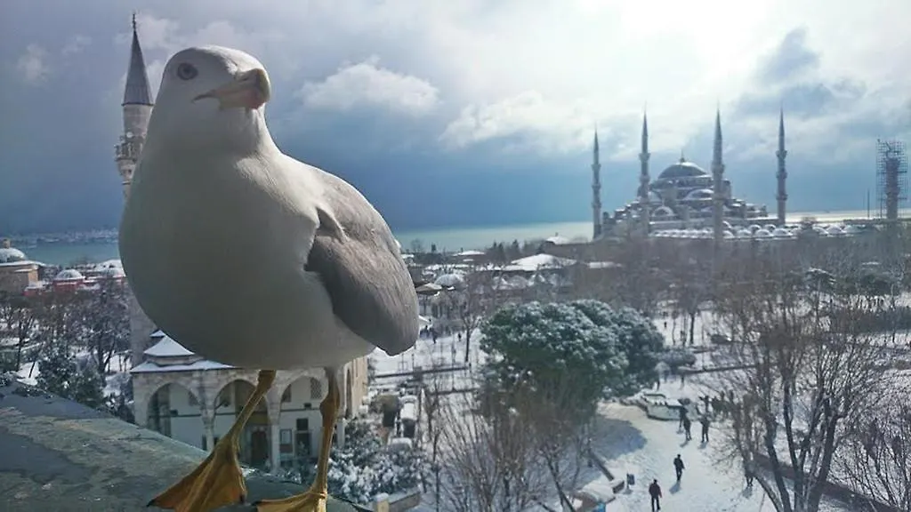 Esra Sultan Petrol Hotel Istanbul
