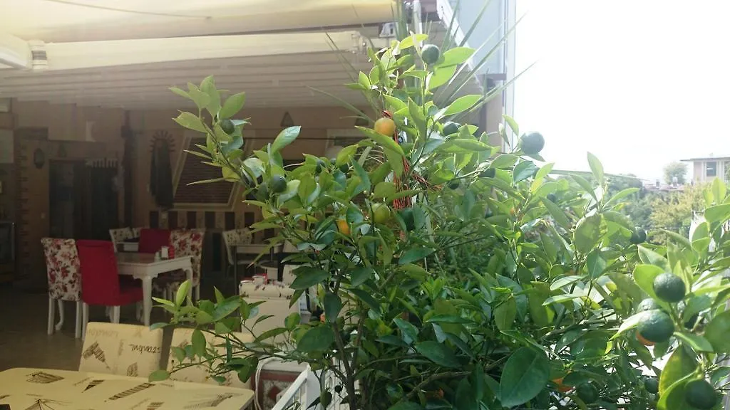 Esra Sultan Petrol Hotel Istanbul