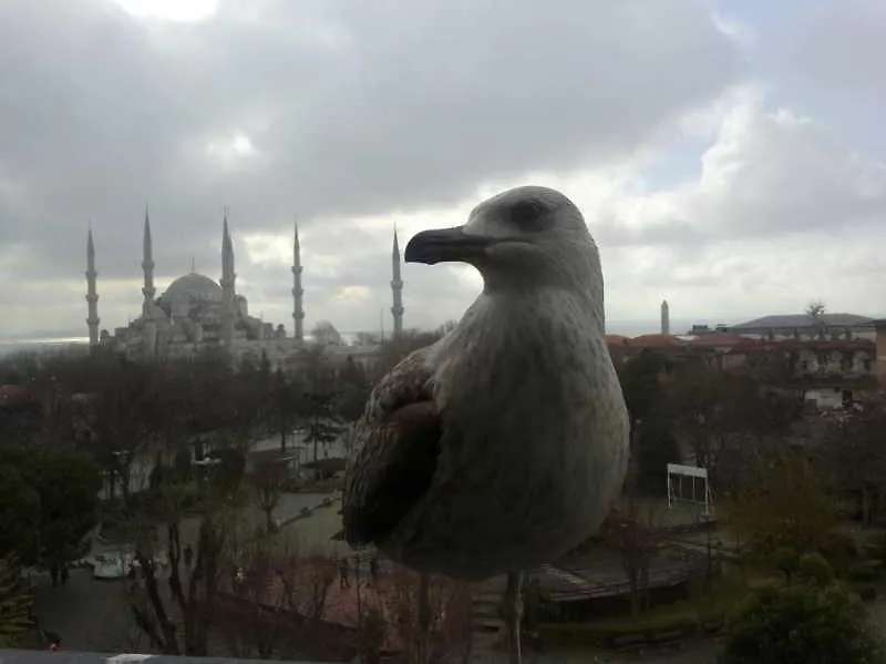 Esra Sultan Petrol Hotel Provincia di Provincia di Istanbul